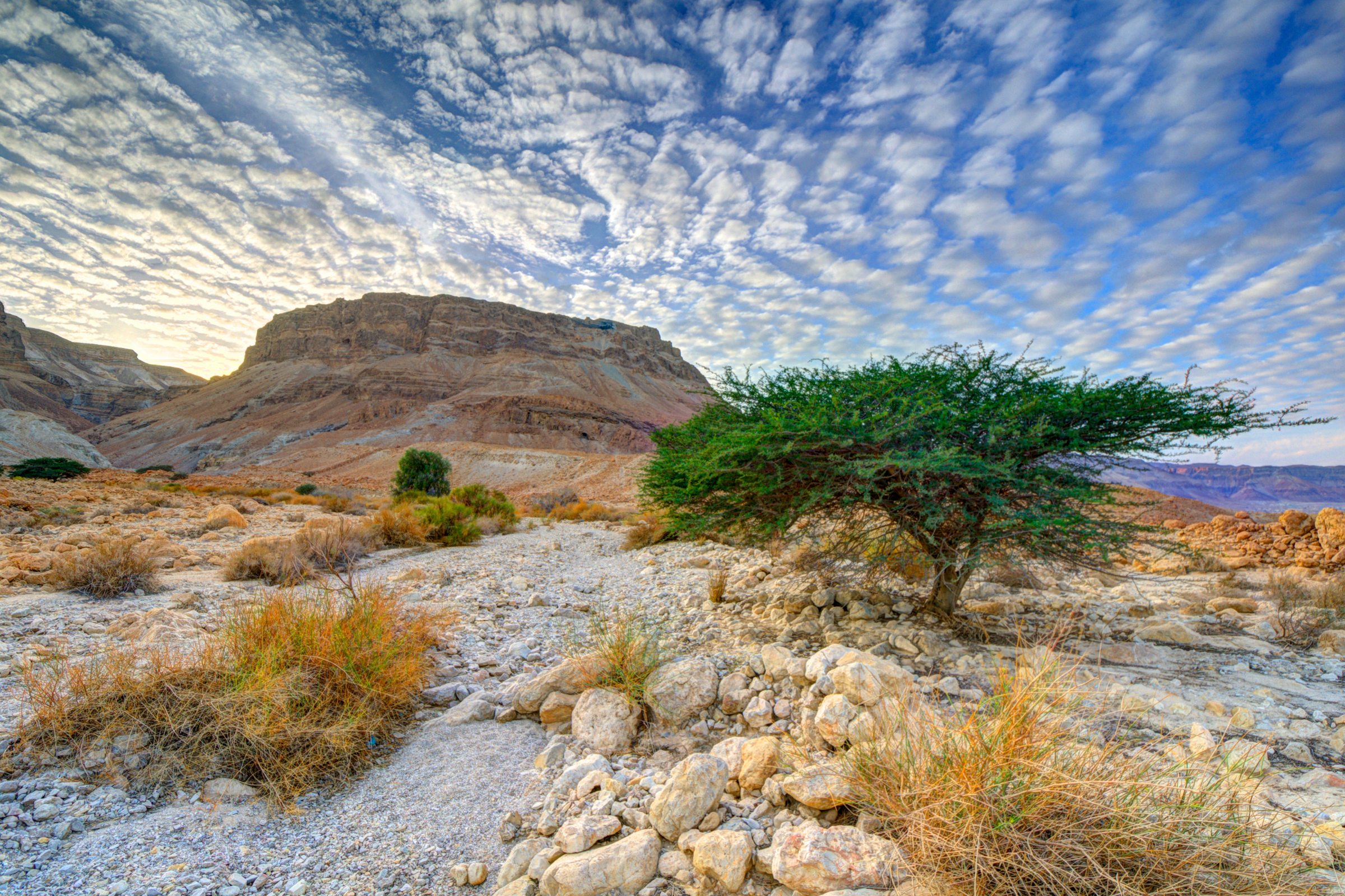 masada (3).webp